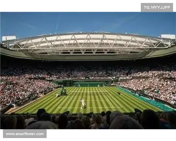 温网引入心跳监测提升鹰眼系统准确度 误判率降至0.3%